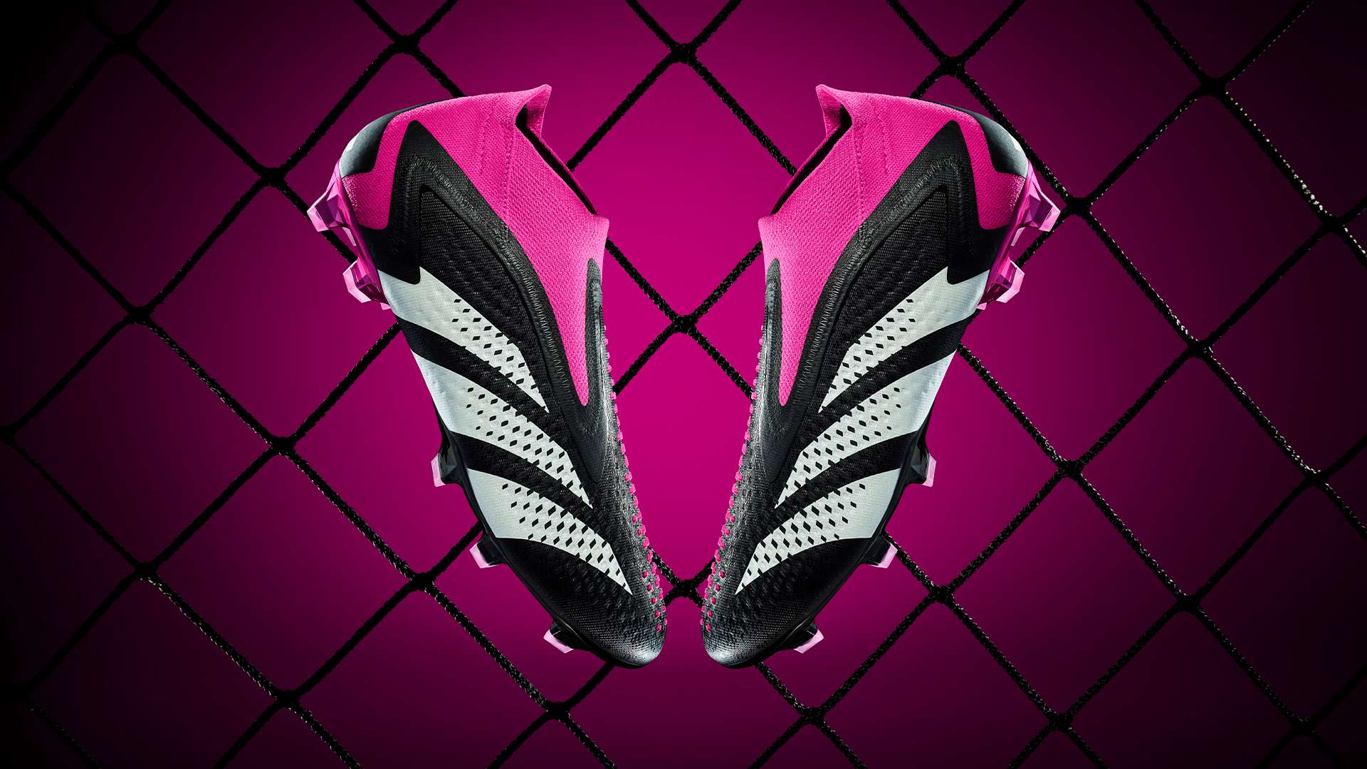 的文化底蕴 的文化底蕴